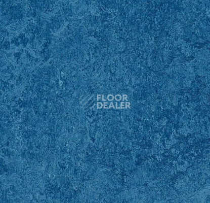 Линолеум Forbo Marmoleum Marbled Authentic 3030 blue фото 1 | FLOORDEALER